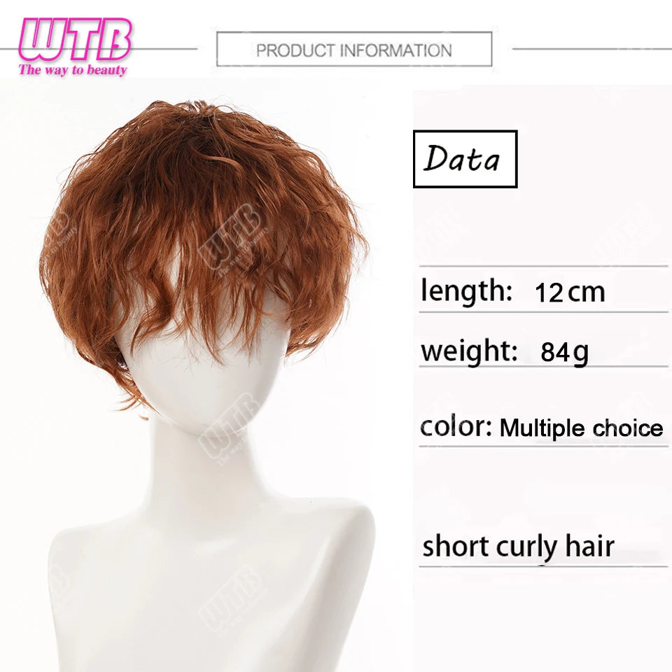 Synthetic Short Curly Boy Party Hair Wig Black Brown Natural Fake False Hair For Men Handsome Breathable Christmas Halloween