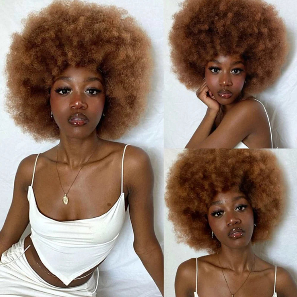 Synthetic Afro Kinky Curly Wig for Women Black 70s Bouncy and Soft Afro Puff Wigs Natural Looking Full Wigs for Party Cosplay